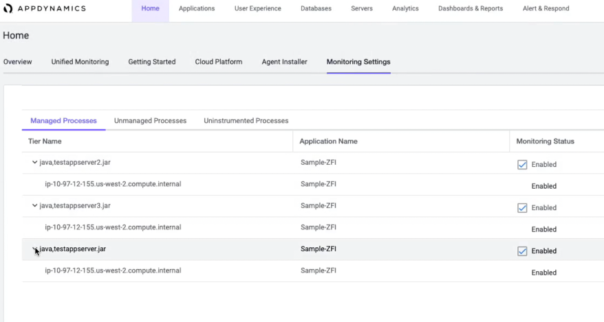 Monitoring Settings listing managed processes by tier name, application and monitoring status, each toggleable.