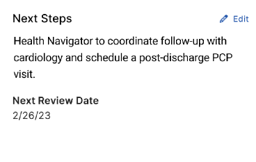 Detail: Next Steps with an owner and a next review date.
