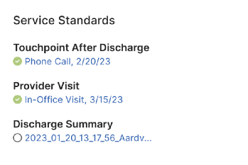 Detail: service standards — touchpoint after discharge, provider visit, discharge summary.