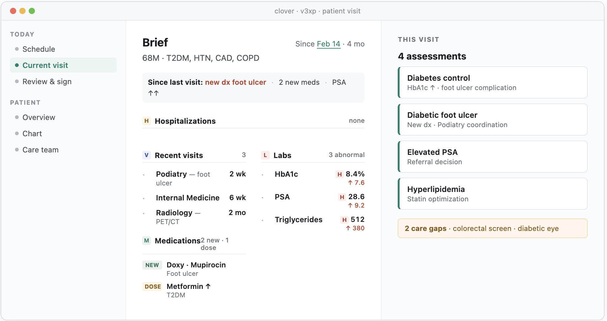 The brief in context: the high-acuity shape inside the patient visit view, with the assessments panel beside it.